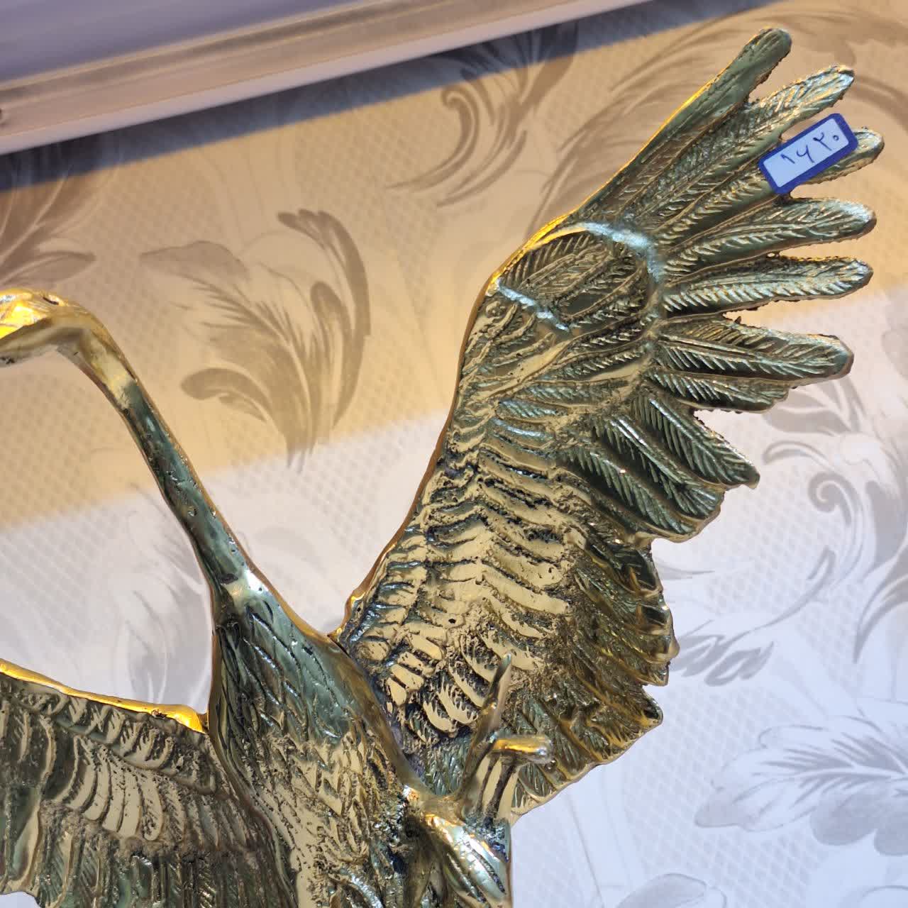 مرغابی برنجی از نمای نزدیک