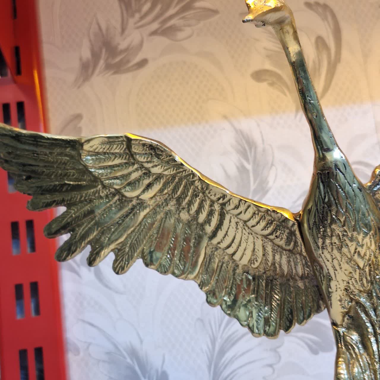 مرغابی برنجی از نمای نزدیک بال